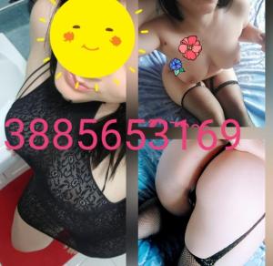 3885653169